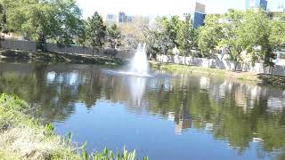 1050 STARKEY RD, #405, LARGO, FL 33771