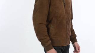 golden bear suede jacket