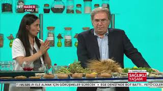 Li̇ken Planus Hastaliğina Karşi Li̇mon Meli̇sa Kürü~ Şifaya Vesile Saraçoğlu