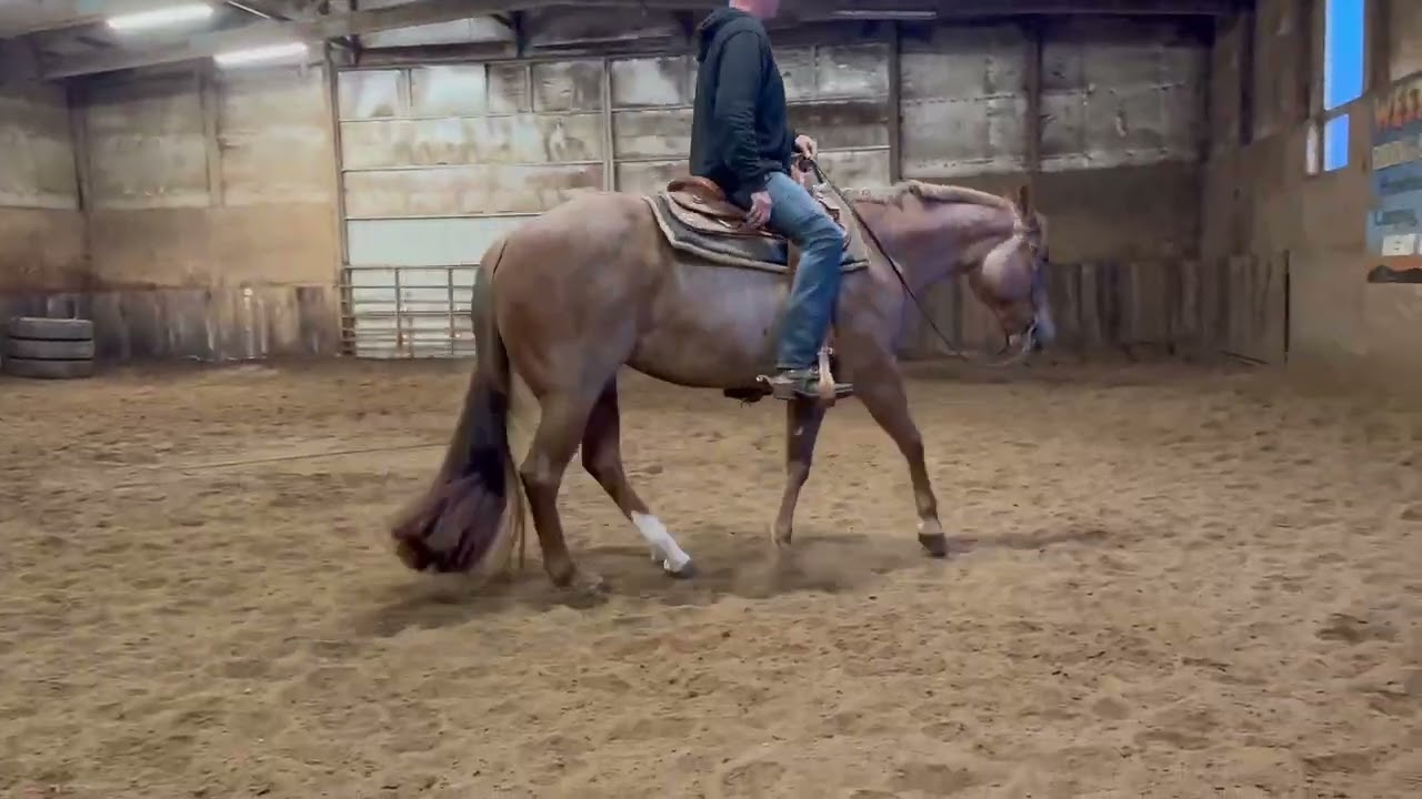 SOLD! RiRi 2022 AQHA Mare