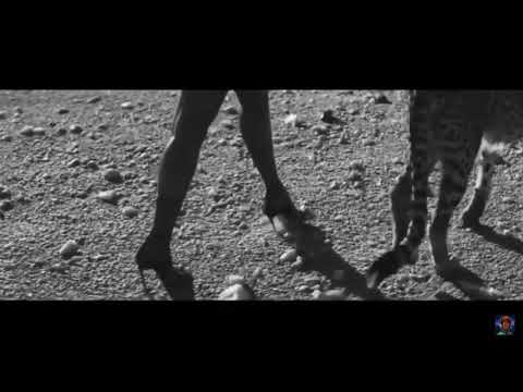 DRAKE FT MICHAEL JACKSON IT DONT MATTER TO ME OFFICIAL MUSIC VIDEO 