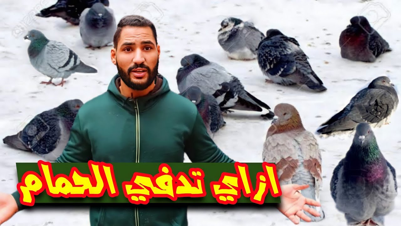 ازاي تدفي حمامك في الجو التلج ده 🌧❄