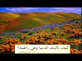 كيف تأتيك الدنيا وهي راغمة الشيخ عبدالرزاق البدر