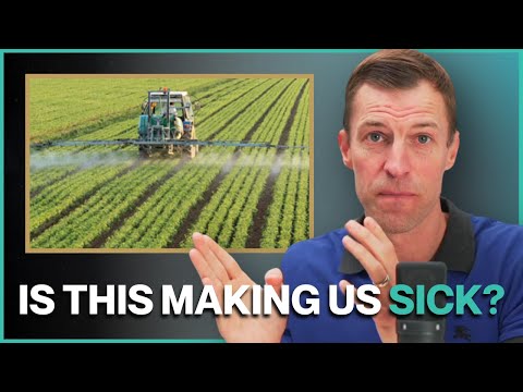 Is Our Food