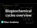 Biogeochemical Cycles and Their Role in Ecosystem Functioning