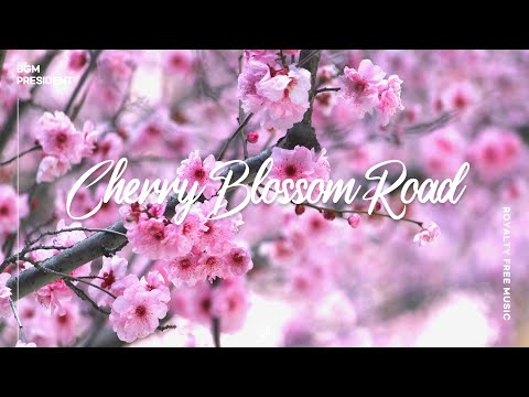 [벚꽃처럼 싱그러운 신나는 음악] Cherry Blossom Road | 봄바람 휘날리며~🌸