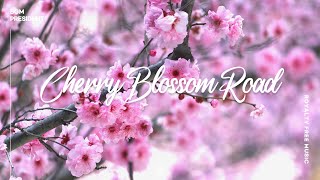 [벚꽃처럼 싱그러운 신나는 음악] Cherry Blossom Road | 봄바람 휘날리며~?