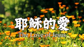 耶穌的愛 The Love of Jesus｜敬拜詩歌 Worship Song｜30分鐘輕鬆基督教音樂｜谢谢祢的爱