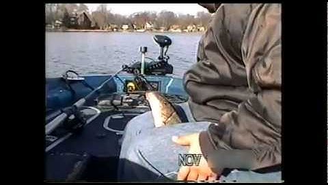 Quick strike Musky sucker Rig