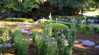 Kyoto Japanese Garden Walk | Shimogamo Villa's Indoor Moss View
