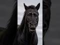 “Ghode Sirf Fast Nahi Hote… Ye Facts Dekh Ke Dimag Hil Jayega 🐎🔥”