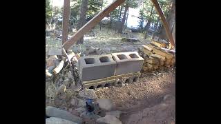 Stellars Jay 12-24-24 852A