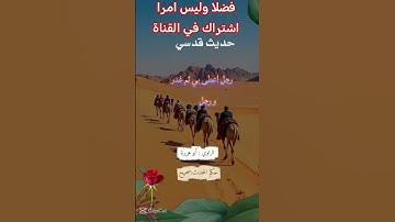 القرآن الكريم #اكسبلور #رمضانمبارك #تيك_توك #duet #لايك #راحة_نفسية #صباح_الخير #حالات_واتس #دويتو