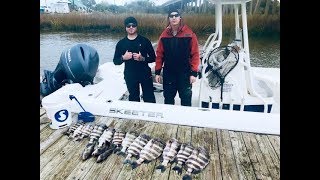 Tybee Island Fishing for Sheepshead and How To Fillet