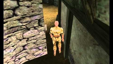 The Elder Scrolls 3 Morrowind Amazing Bug :D
