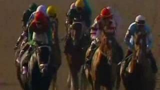 2008 Breeders' Cup Classic