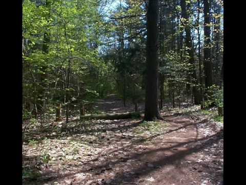 The Footpath to Discovery: Orienteering