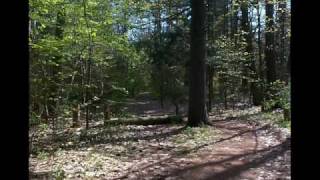 The Footpath to Discovery: Orienteering