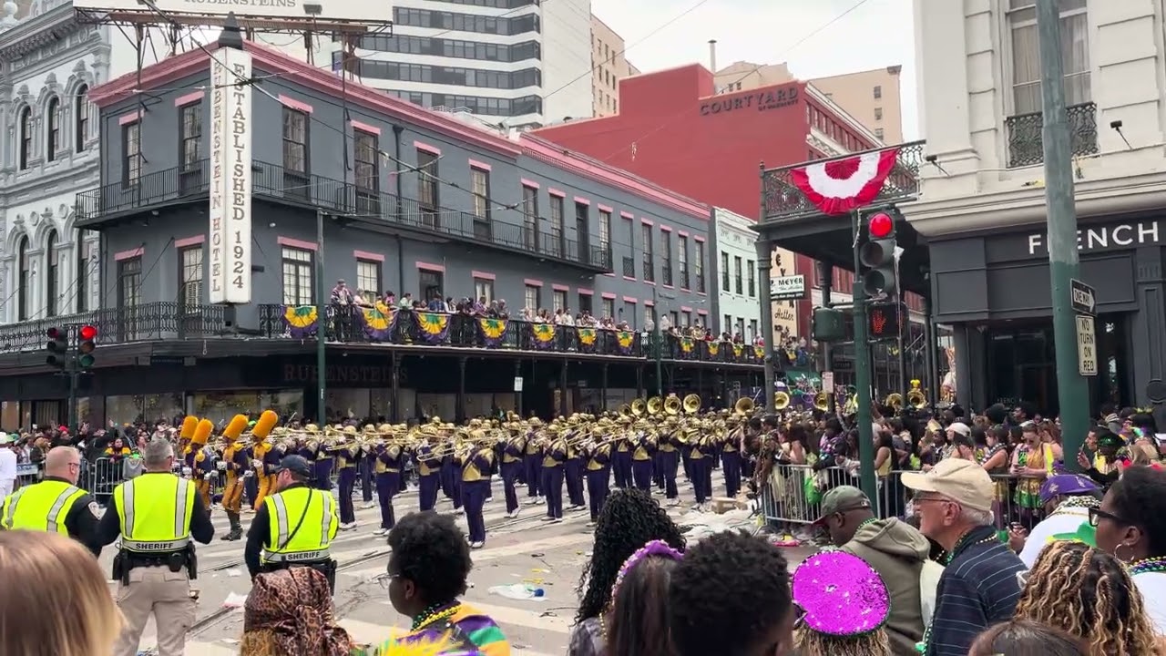 St Aug on canal st Rex parade 2026