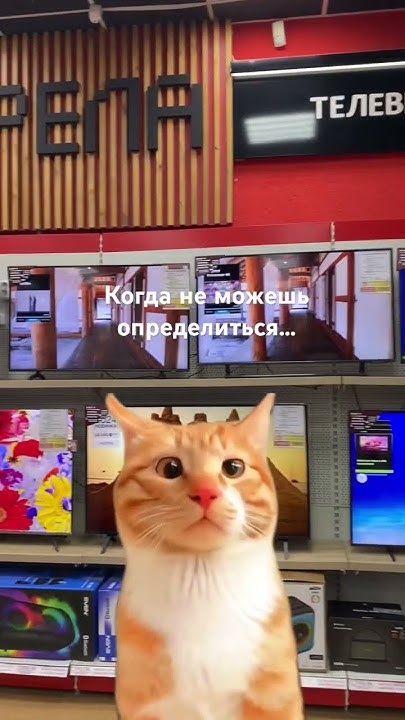 Очень тяжелый выбор… - YouTube