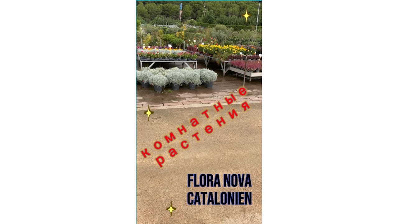 Растения в Gärtnerei "Vloranova", Spanien. Videorezension Видеообзор