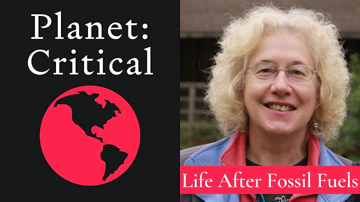Life After Fossil Fuels | Alice Friedemann