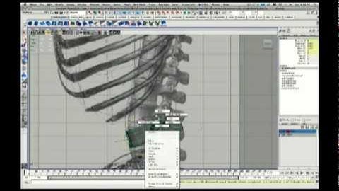 Modeling a Skeleton: Part 1, the Spine (duplicate along curve)