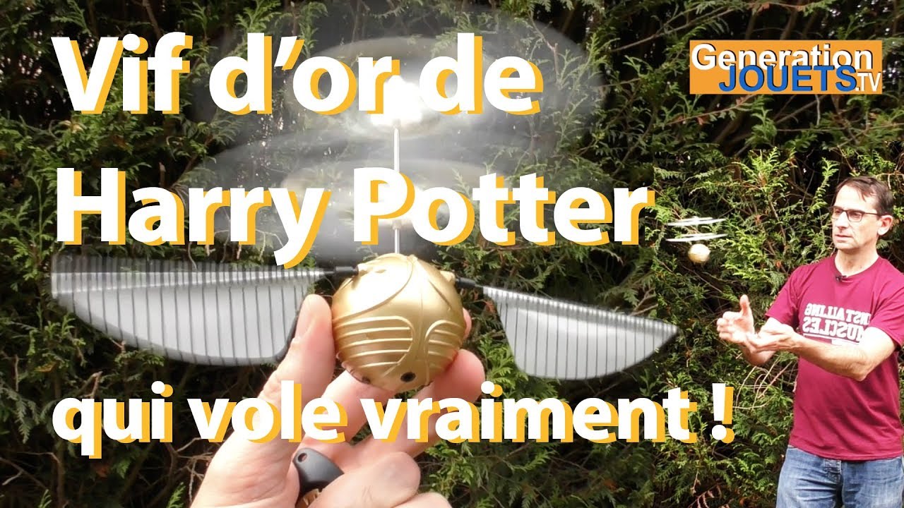 Le Vif d'Or Harry Potter - Il était une fois