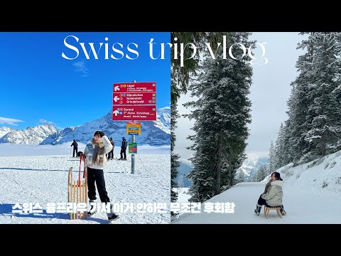 VLOG Switzerland Vlog 스위스 융프라우 올라가면 무조건 썰매 융프라우 Vip 패스 뮤렌 스위스 여행 꿀팁 여행경비 아끼는 법 스위스 물가 