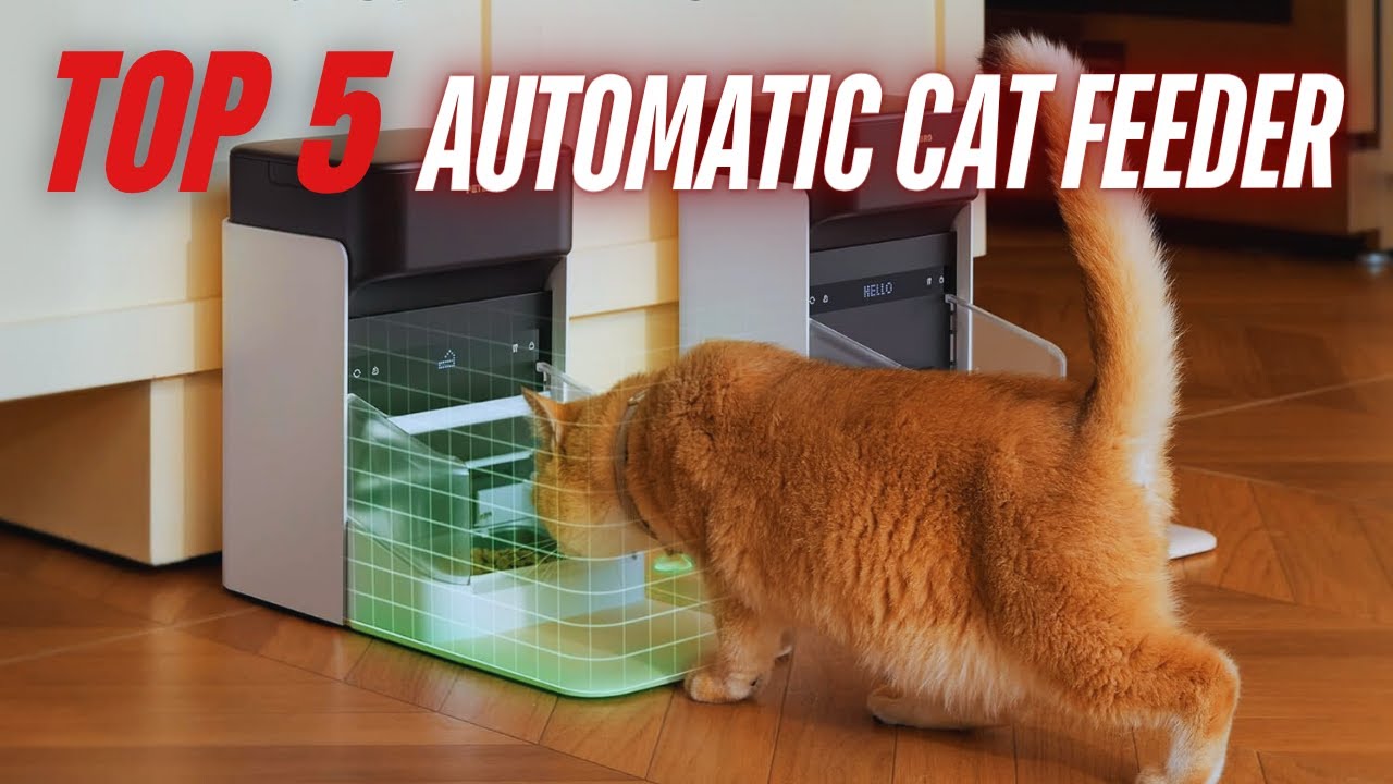 ✅ Топ-5 обзоров автоматических кормушек для кошек [Посмотрите, прежде чем сделать выбор!]