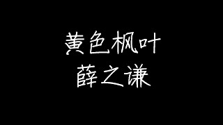 薛之谦 - 黄色枫叶 (动态歌词)