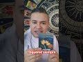 ¿Una Relación Seria en Camino? ✨