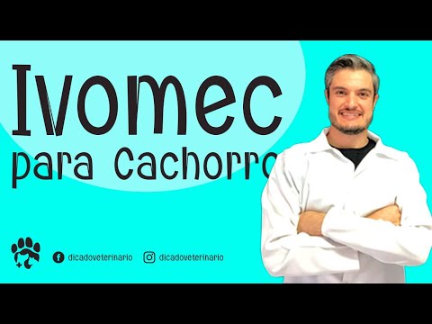 Vídeo: Como reparar uma trela do cão retráctil Flexi