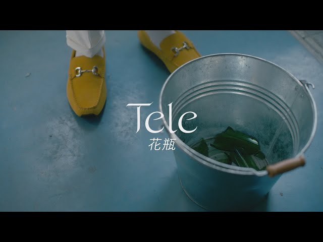 時代劇にでたこともある昔の花瓶だそうです Tele | 花瓶 - Music Video - YouTube