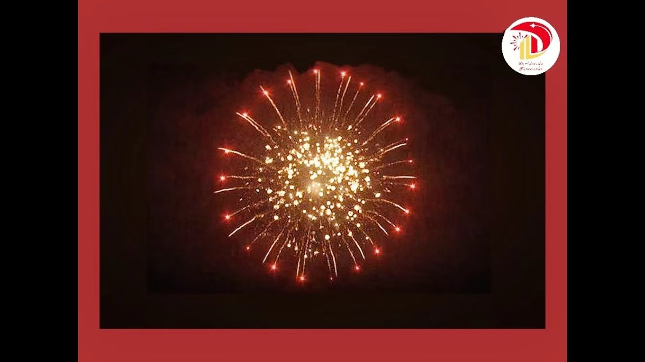 DS06 6 INCH Display Shells