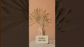 How Paint Colors Add Depth to Your Walls | Interior Design Tips