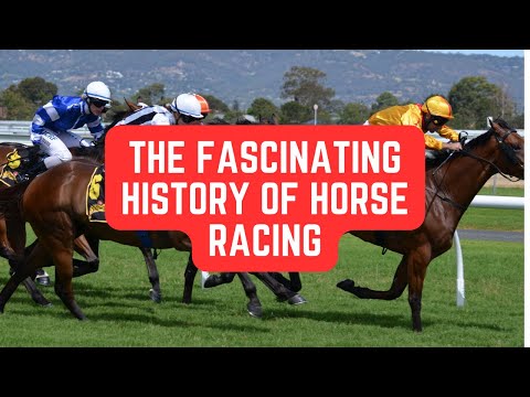 What Is The Horse Racing Industry Called