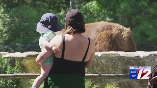Incoming New Bedford kindergarten students get special welcome at zoo