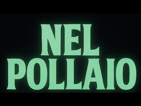 NEL POLLAIO Clip Officiel Swagito De La Notte