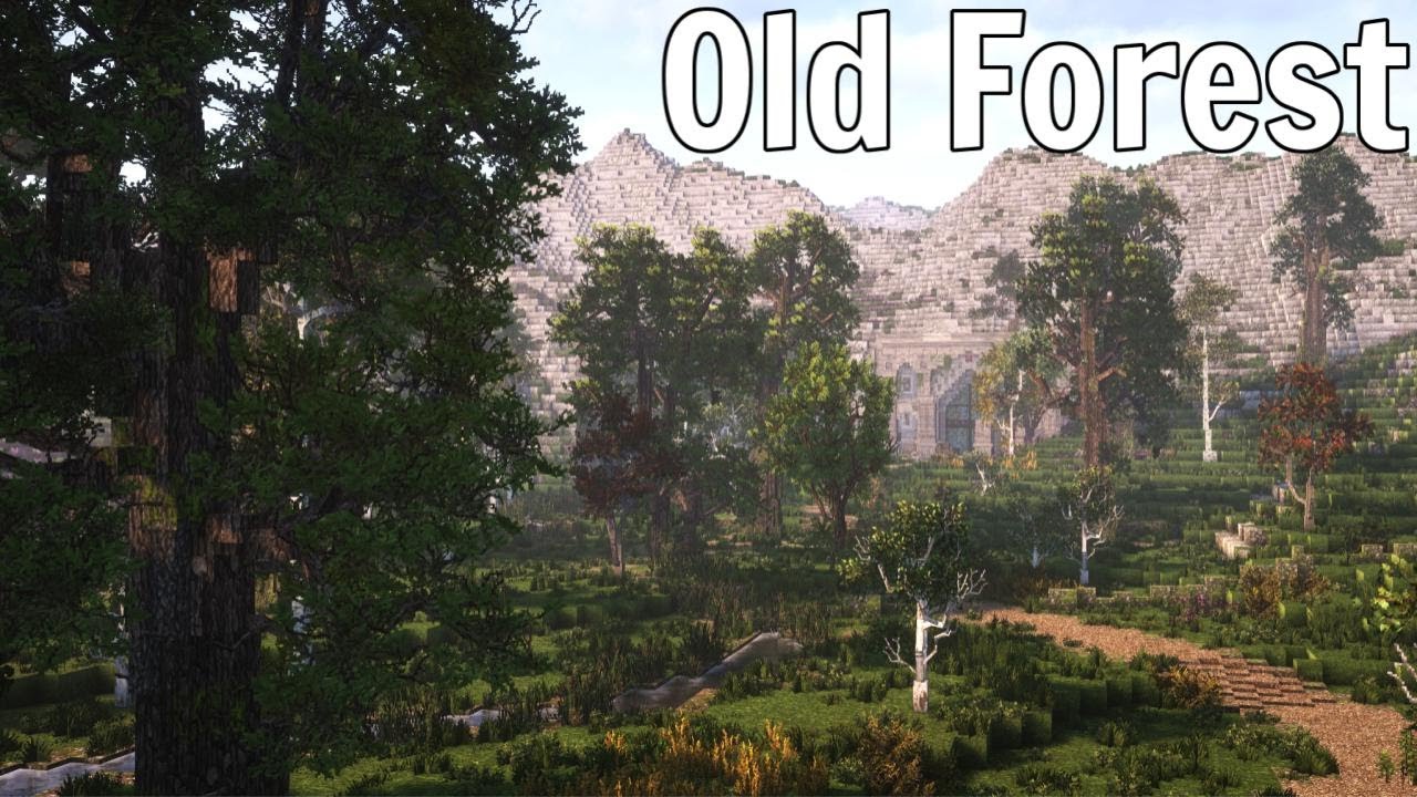Finishing the Old Forest with a Dwarven Kingdom