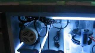 New MVI 5257