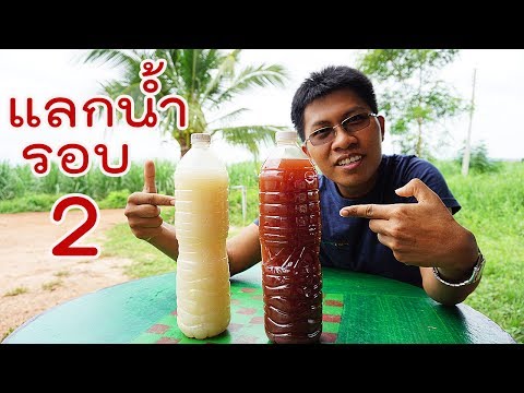 ทำไมต้องแลกน้ำรอบ 2 กับจุลินทรีย์สังเคราะห์แสง