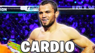 The Biggest Kryptonite of Every UFC Fighter