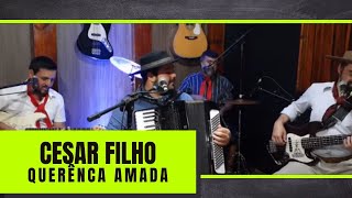 QUERÊNCA AMADA - Cesar Filho - Gaiteiro