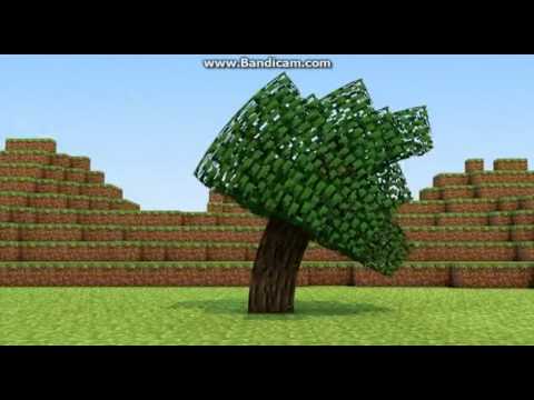 Sapling!!