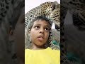 myfride, isl leopard 🐅
