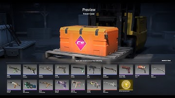 Opening a CS2 cases Day#102