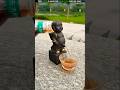 the black toy 🧸🧿/New viral gadgets, appliance, kitchen utensils/Home invention 🤯😱