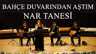 Bahçe Duvarından Aştım - Nar Tanesi