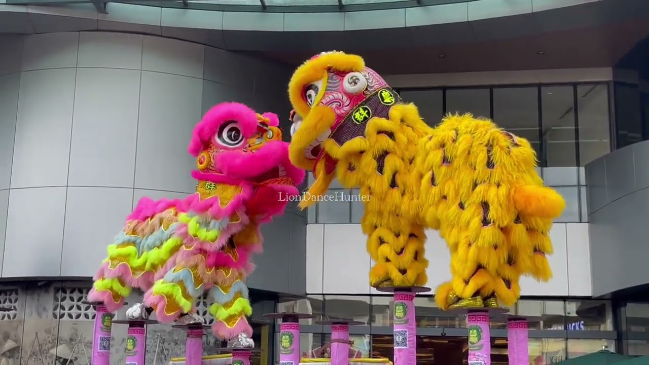 [CNY 2025] Acrobatic Double Lion Dance 🦁 - Khuan Loke 群樂 @ Starling Mall
